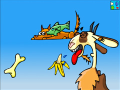 Skalemoe Feeding the animals Skalemoe Feeding the animals